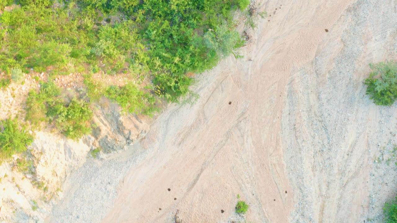 Aerial frame in Cabo Pulmo with the vegetation edge shifted slightly across pale dirt, gravel, and faint tire-marked ground, with no visible people.