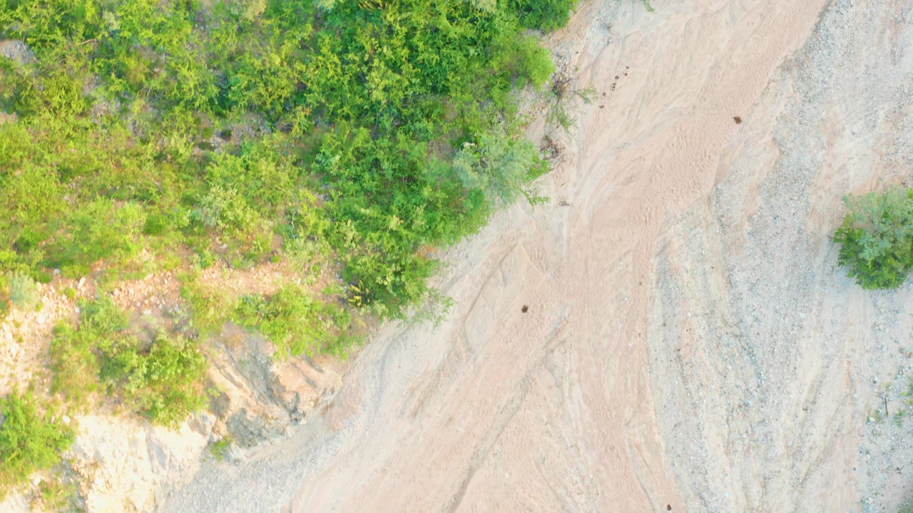 Overhead Cabo Pulmo landscape frame with denser greenery on the left and upper areas, pale dirt and gravel to the right, and no visible people.