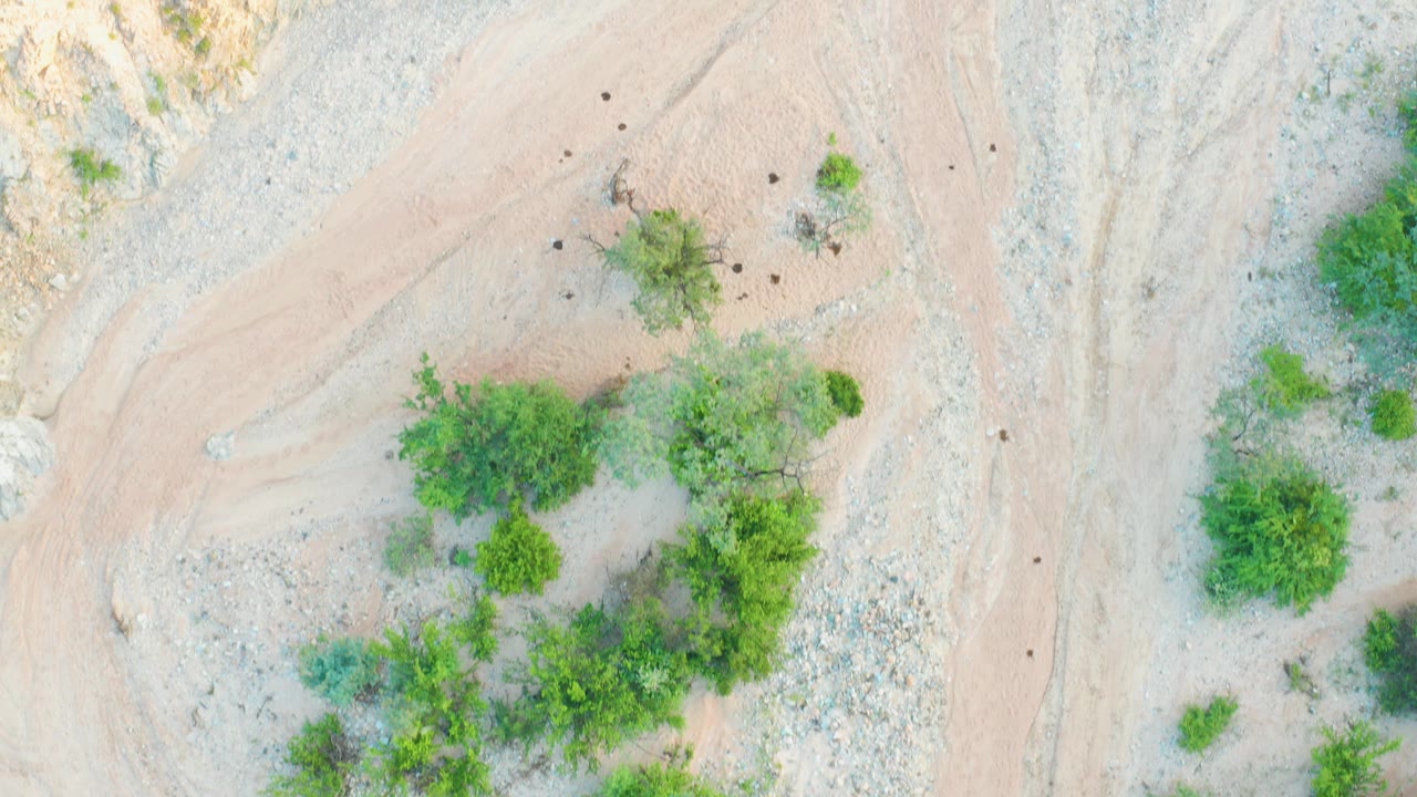 Top-down Cabo Pulmo frame with a pale wash, tan dirt channel, green shrubs grouped through the middle, and no visible people.
