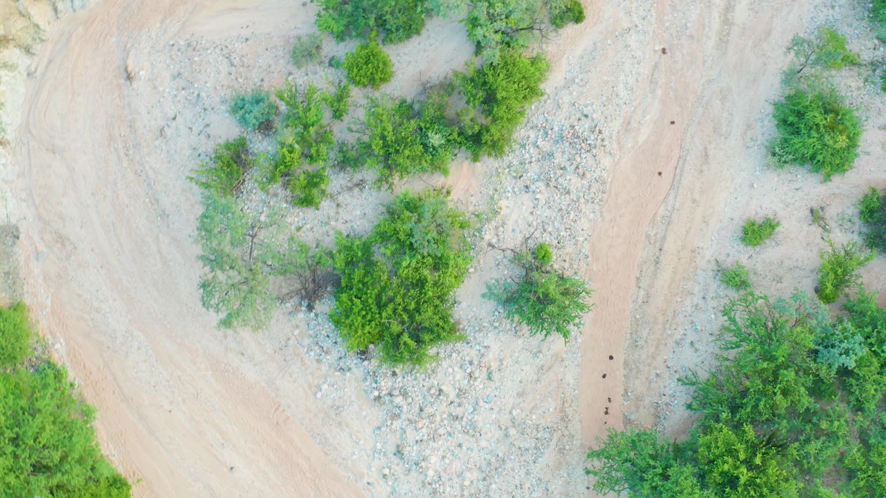 Overhead view of pale dirt, gray rocks, and green trees