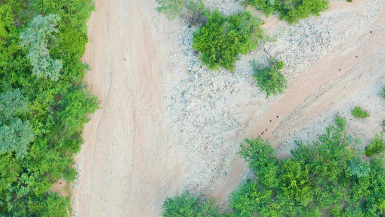 Overhead view in Cabo Pulmo, Baja California Sur of a sandy dirt road beside dense green shrubs and pale rocky ground, with no visible people.