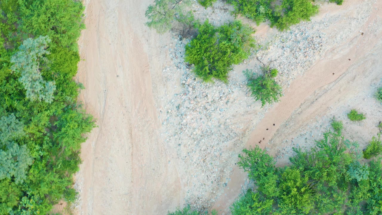 Overhead frame from Cabo Pulmo with a sandy track near the left edge, dense green trees along the bottom and side, and pale rocky terrain to the right, no visible people.