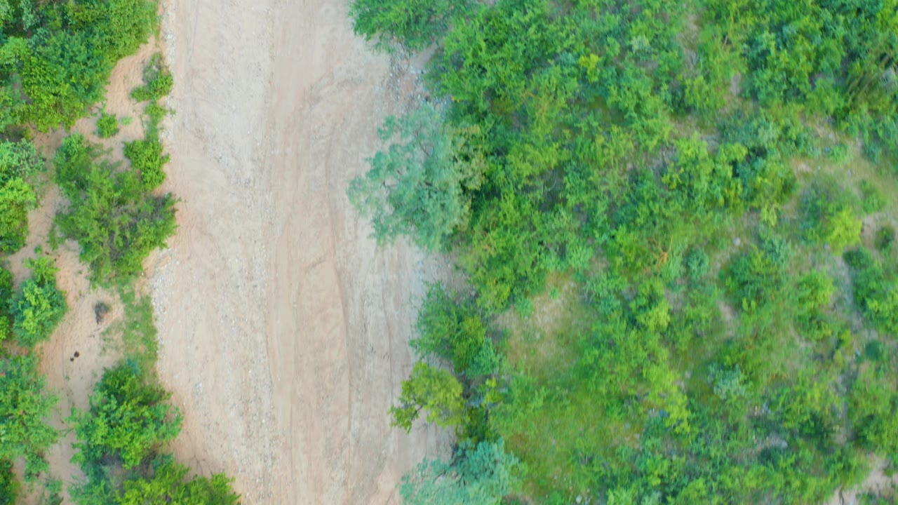 Aerial frame over Cabo Pulmo with the dirt road running along dense green vegetation and patches of exposed earth, with no visible people.