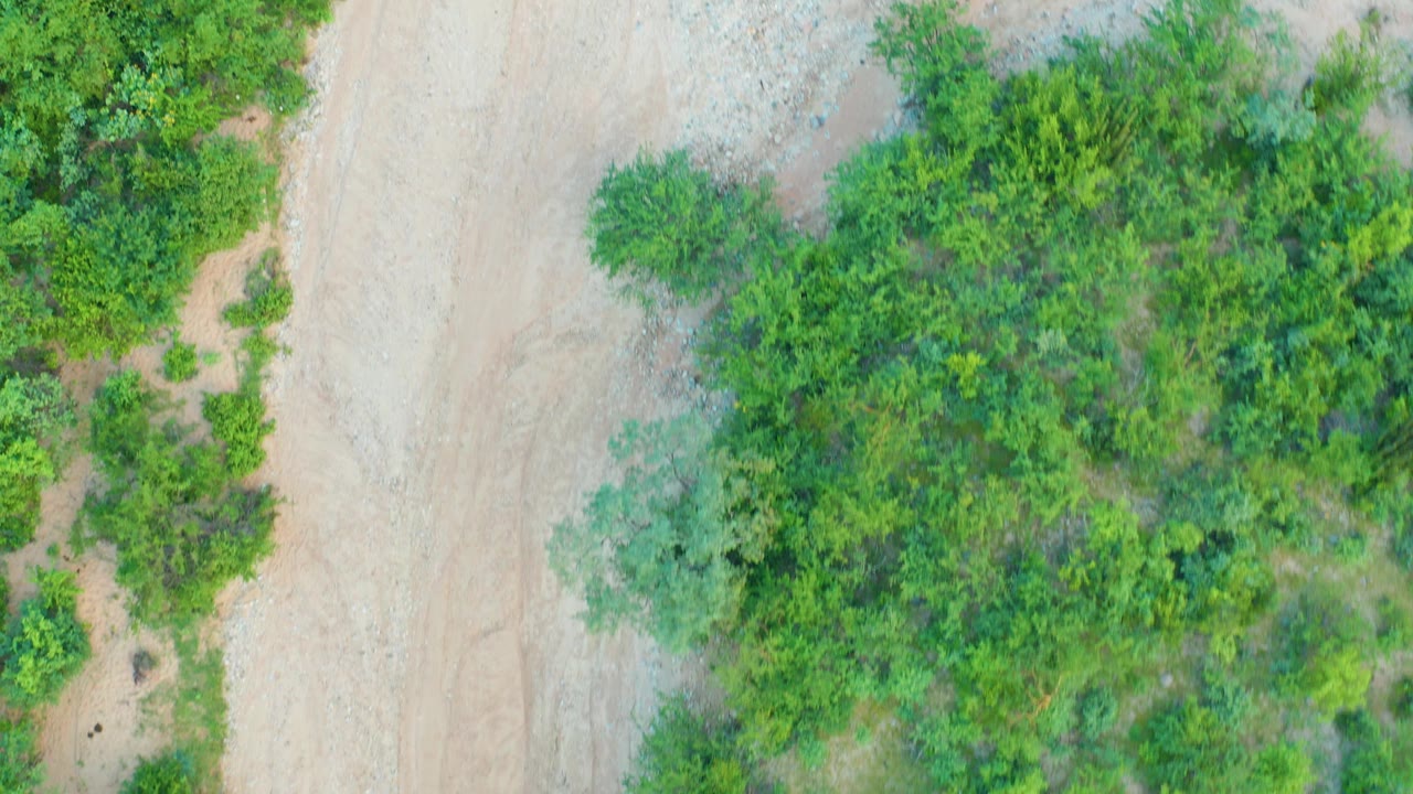 Drone-style overhead frame in Cabo Pulmo showing the dirt road, dense green trees, scrub growth, and a light gravel section to one side, with no visible people.