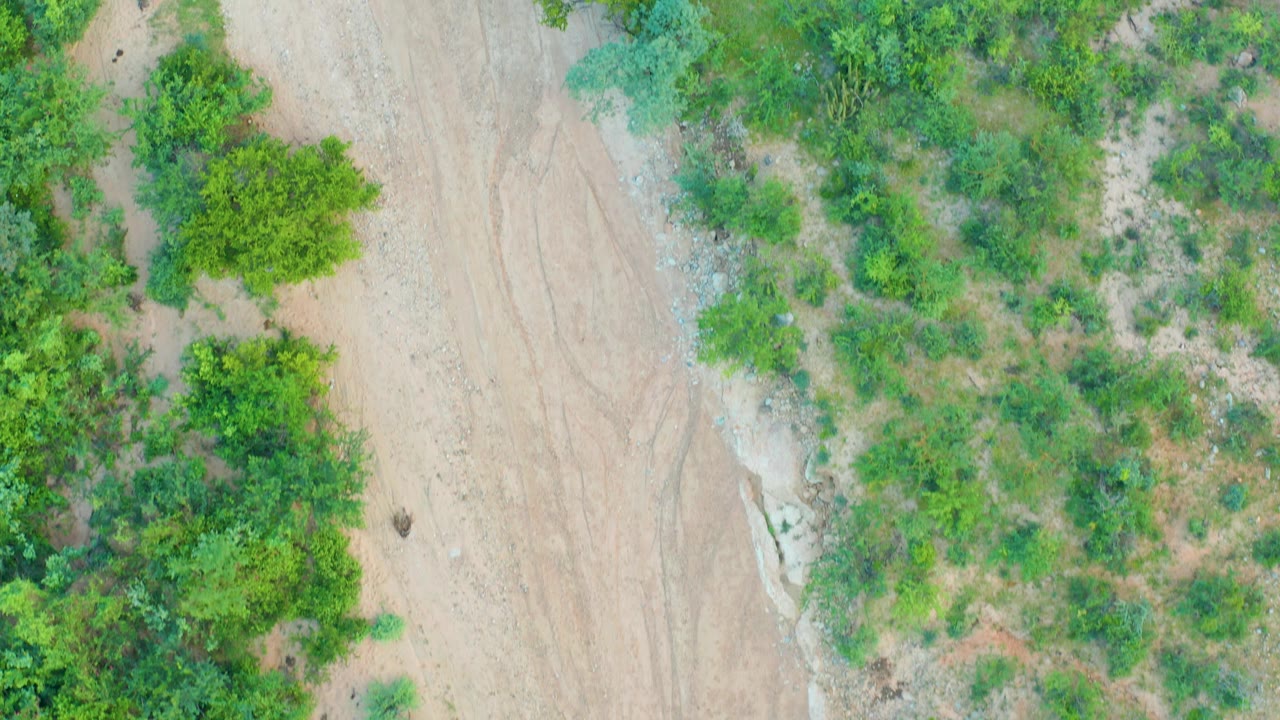 Overhead view of sandy dirt path beside green shrubs.
