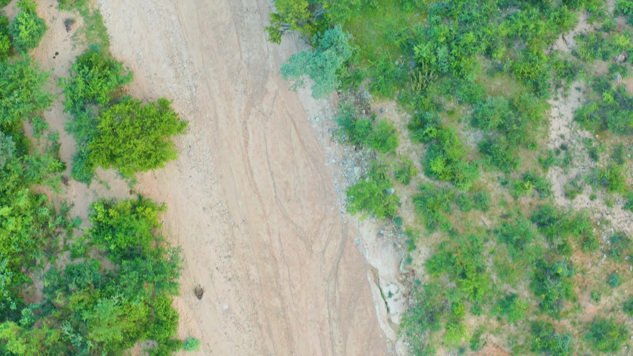 Top-down Cabo Pulmo frame showing the sandy road edge on the left, mixed green bushes on patchy brown ground, a small dark object on the path, and no visible people.