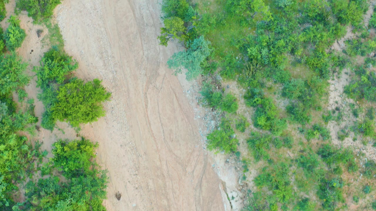 Overhead Cabo Pulmo view with the sandy path passing down the left side, a narrow pale wash or road edge beside it, dense green shrubs across the right, and no visible people.