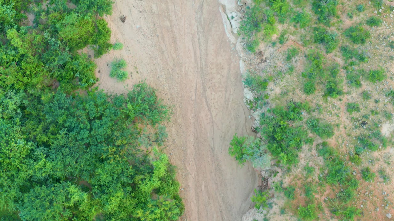 Overhead road edge with dense trees and open scrubland.