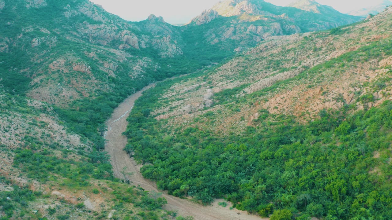 Aerial view in Cabo Pulmo with the river curve lower left, dense trees filling the valley center, and rocky hillsides rising to muted mountain peaks, with no visible people.