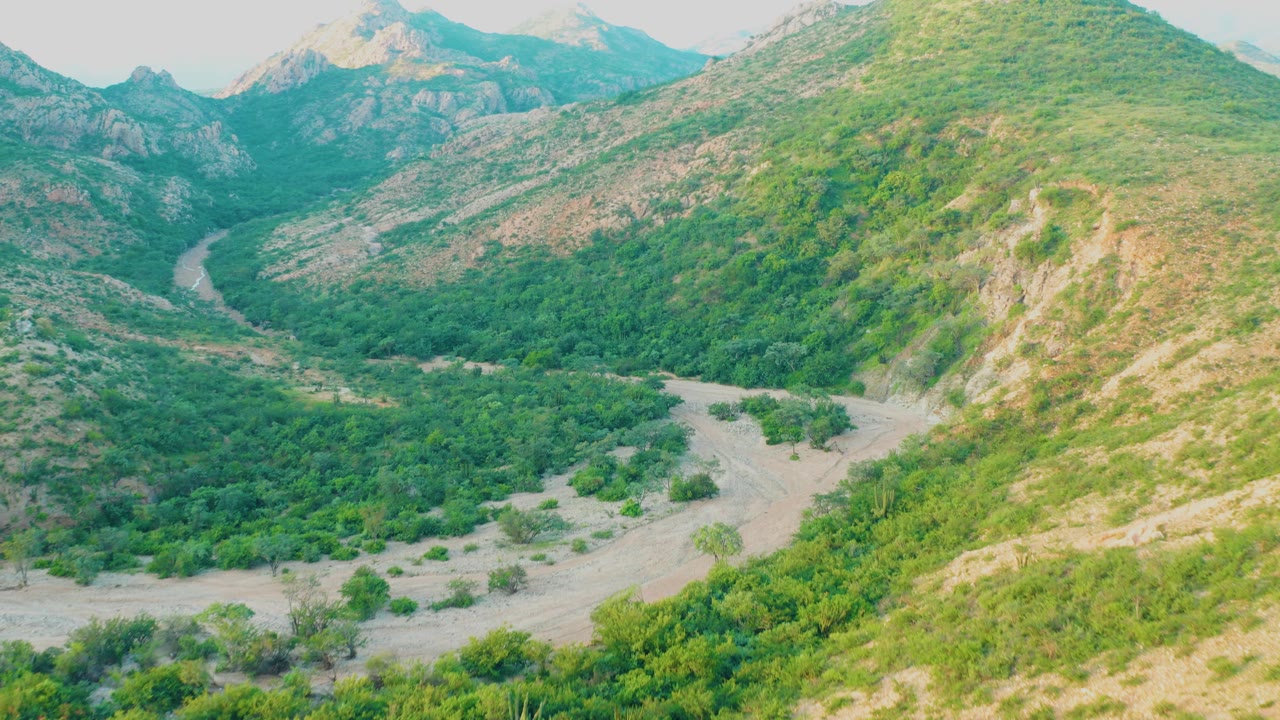 Aerial view in Cabo Pulmo with the road crossing the lower valley and a broad green hillside filling the right side, with no people or vehicles visible.
