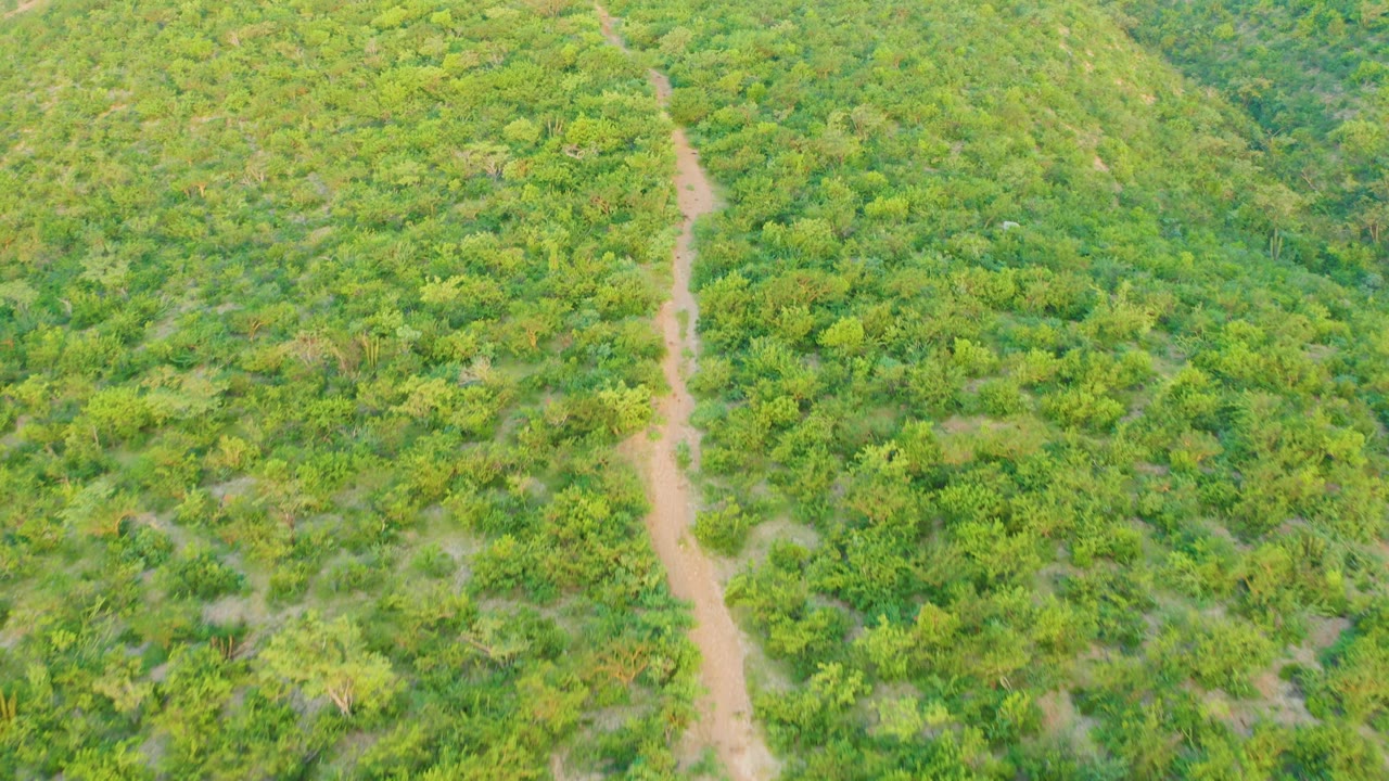 Green brush-covered hill with a vertical dirt trail from above.