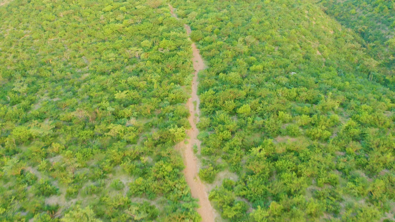 Cabo Pulmo aerial frame with a winding tan path running vertically through a field of mixed green shrubs and no visible people.