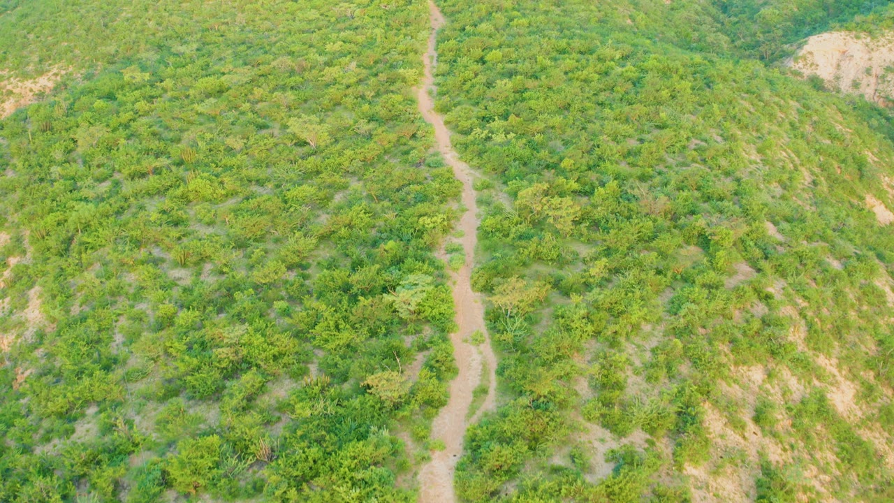 Aerial frame from Cabo Pulmo showing the path slightly more centered against a broad field of green hillside vegetation and exposed earth, with no visible people.
