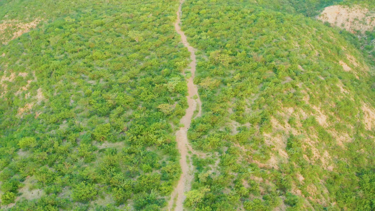 Opening aerial frame in Cabo Pulmo, Baja California Sur, showing a narrow tan dirt trail running up a green scrub-covered hillside with patches of exposed earth and no visible people.