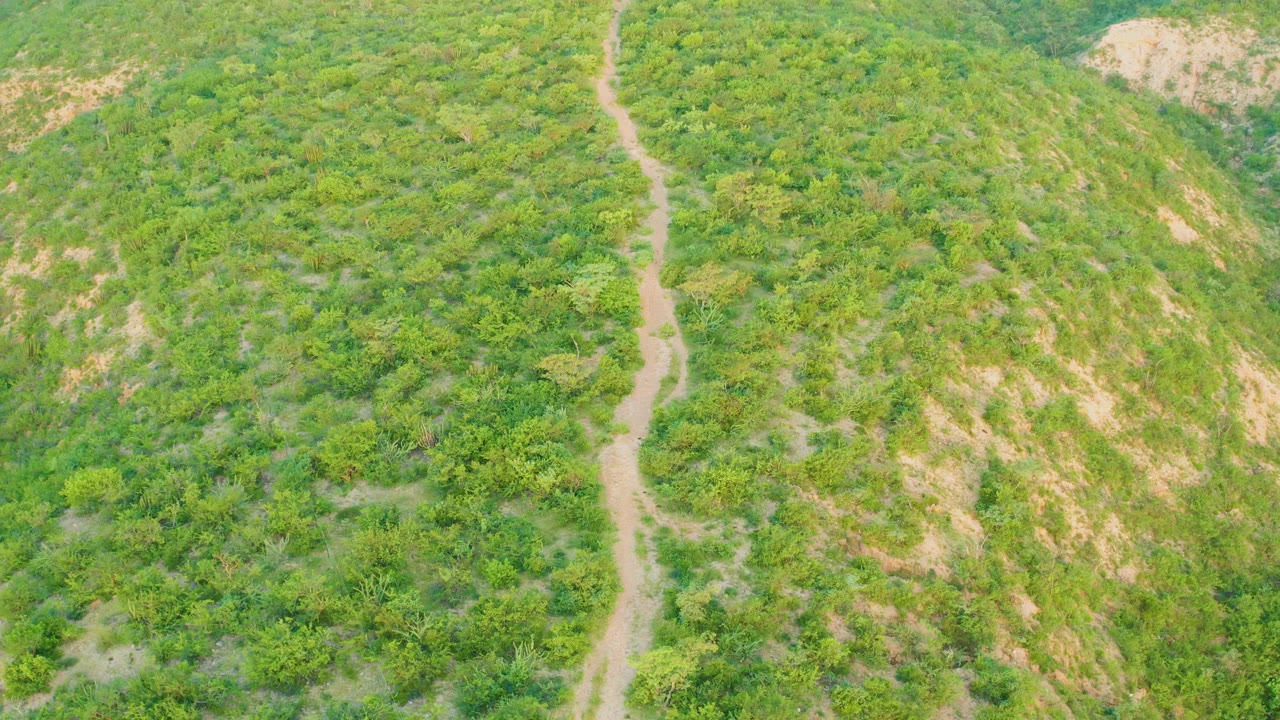 Dirt path crossing dense green hillside scrub