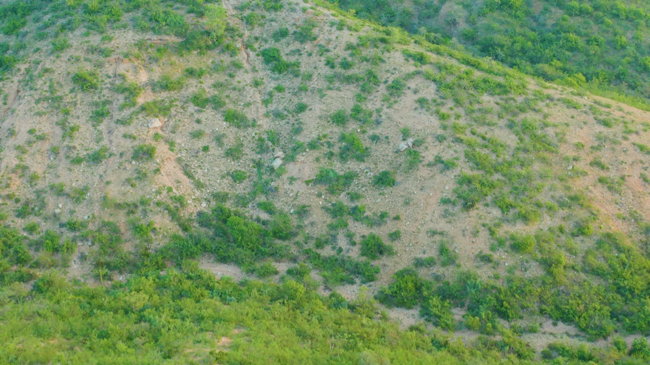Cabo Pulmo hillside seen from above with patchy shrubs, pale exposed ground, a greener band near the top, and no visible people.