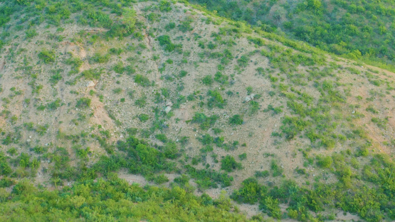 Aerial view of a light brown Cabo Pulmo hill face with scattered green bushes, faint drainage marks, and no visible people.