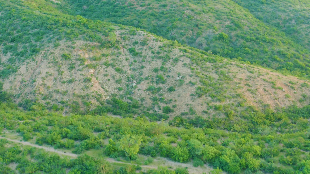 Green and tan hillside with scrub vegetation