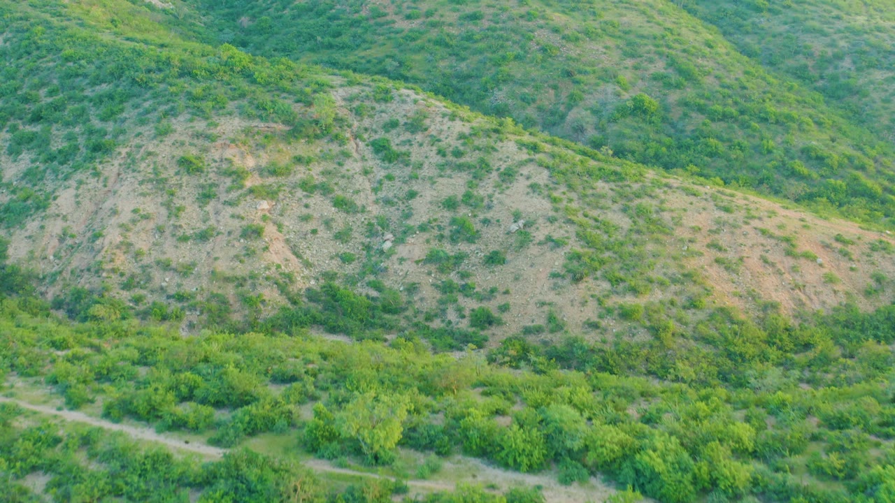 Cabo Pulmo rolling hillside with denser green vegetation along the lower edge and no visible people.