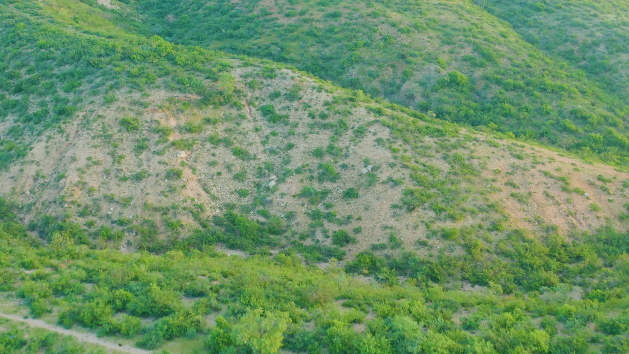 Cabo Pulmo hill face with scattered scrub, exposed tan soil, and no visible people as the aerial view continues.