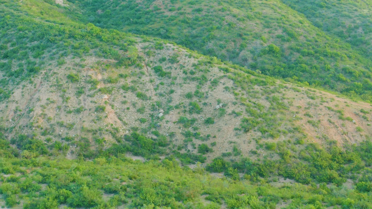 Cabo Pulmo hillside view with green brush, pale dry patches, a faint dirt path near the lower slope, and no visible people.