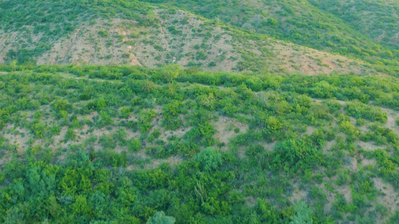 Aerial view across Cabo Pulmo hills where foreground brush gives way to a pale, shrub-dotted slope in the background, with no visible people.