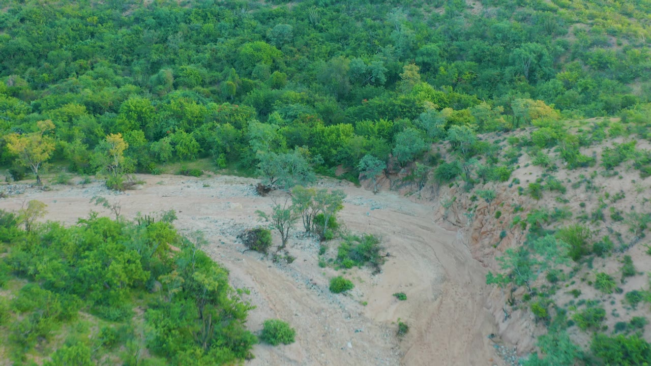 Aerial frame from Cabo Pulmo, Baja California Sur, Mexico, showing a tan eroded gully edge below layered green trees and shrubs, with no visible people.