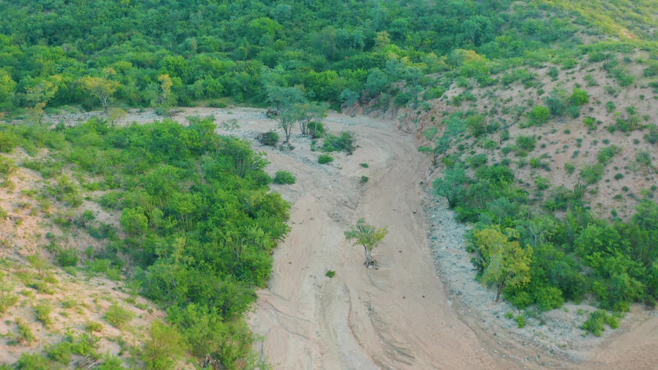 Aerial view in Cabo Pulmo, Baja California Sur, Mexico, showing a pale sandy dry riverbed between dense green vegetation and scrubby banks, with no visible people.
