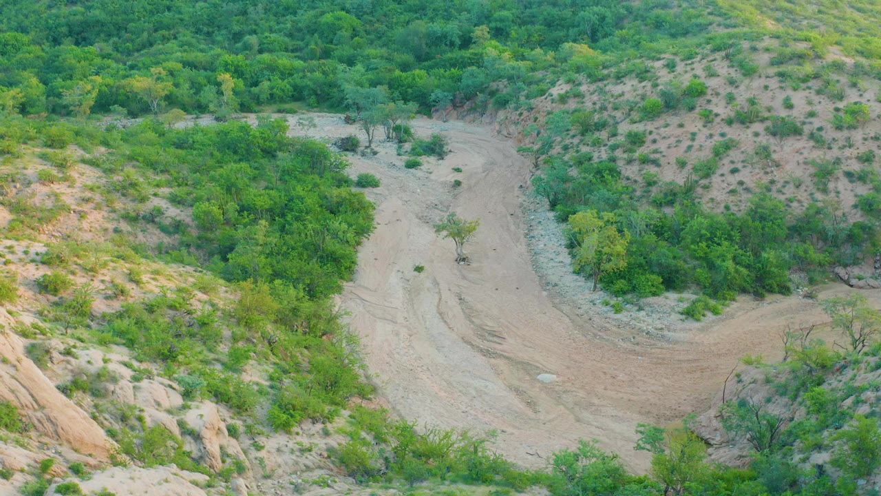 Aerial view in Cabo Pulmo showing the sandy wash slightly farther along its curve, with denser green brush at the top of frame and no visible people.