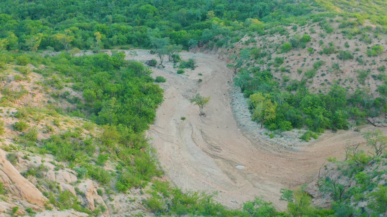 Aerial view in Cabo Pulmo where the wash fills the lower center of the frame, with green vegetation clustering along the banks and no visible people.