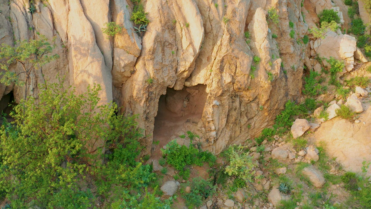 Mid-clip view of the Cabo Pulmo cave with leafy brush along the lower left, a sandy clearing and rocks to the right, and no visible people.