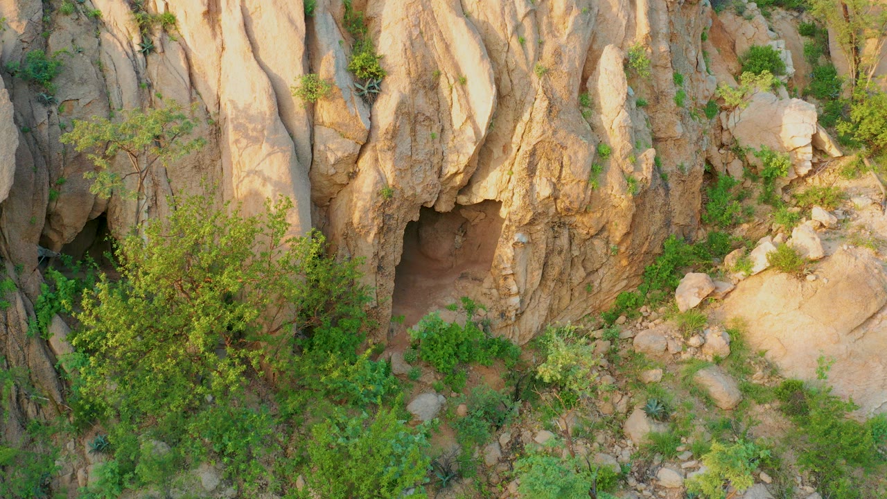 Cabo Pulmo rocky cliff with a dark cave opening low in the frame, green shrubs across the foreground, warm sunlight on tan stone, and no visible people.