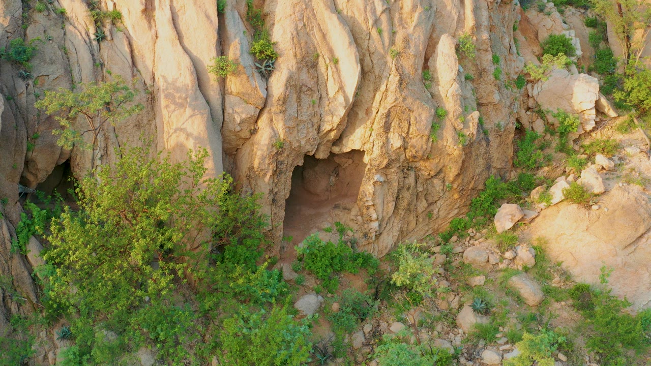 Cabo Pulmo rock wall with the cave opening centered low behind green brush, pale boulders at right, sunlit stone above, and no visible people.