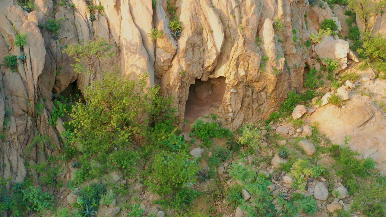Elevated view of a tan rocky cliff and dark cave opening in Cabo Pulmo, Baja California Sur, with dense green shrubs below and no visible people.