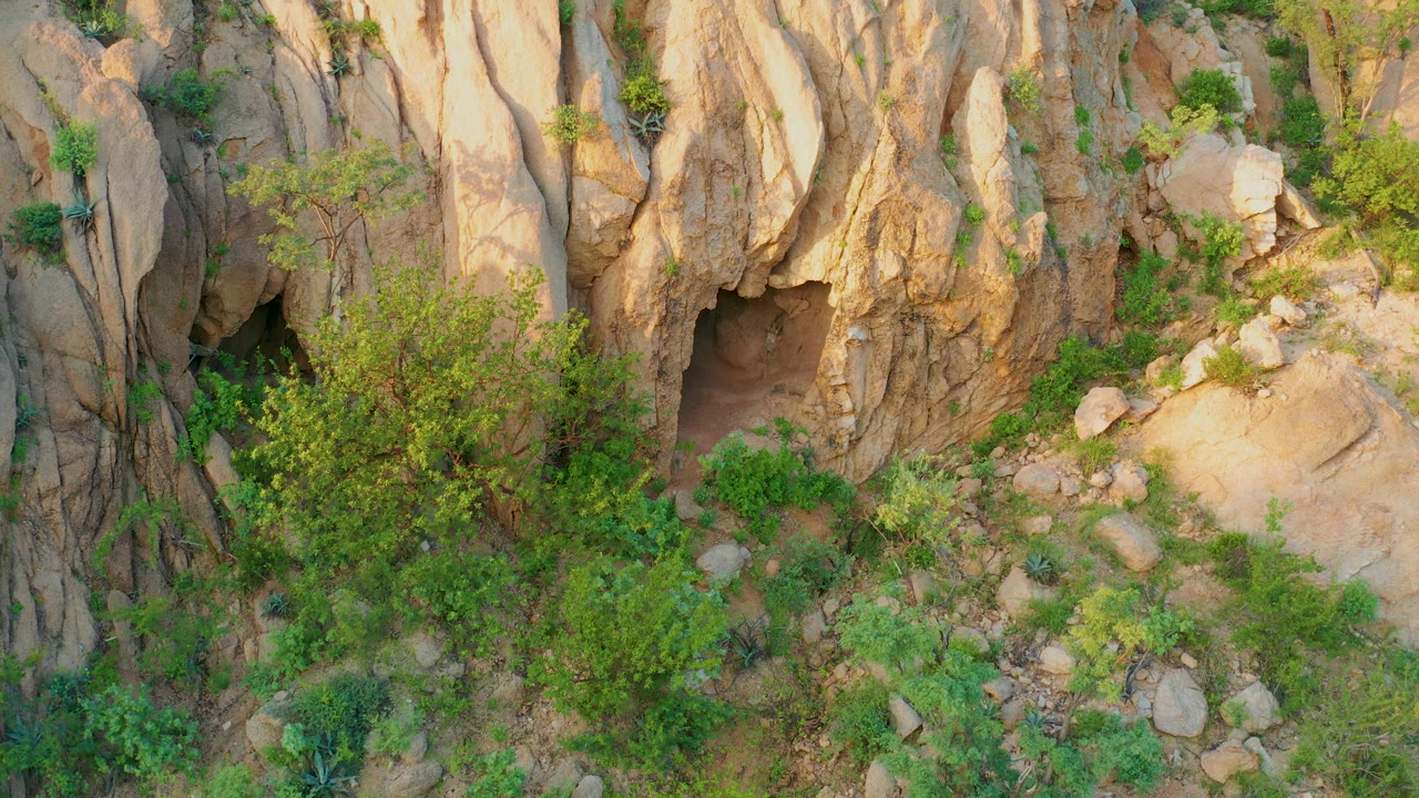 Aerial-looking frame of the Cabo Pulmo cliff shows the cave mouth centered left of the rock face, green brush below, and no visible people.