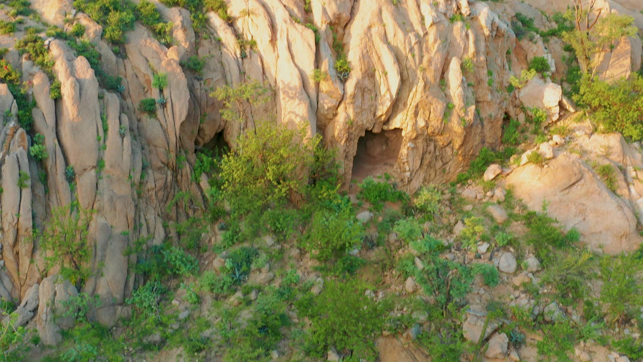 Cabo Pulmo hillside frame with vertical pale rocks, low green plants across the lower slope, scattered boulders, and no visible people.