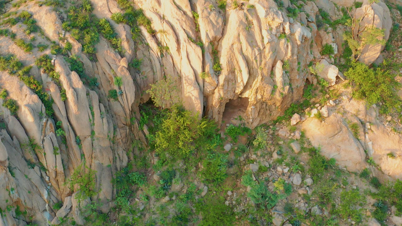 Cabo Pulmo aerial frame with the cave opening low in the rocky face, dense green shrubs along the base, and sunlit tan ridges running through the outcrop, no visible people.