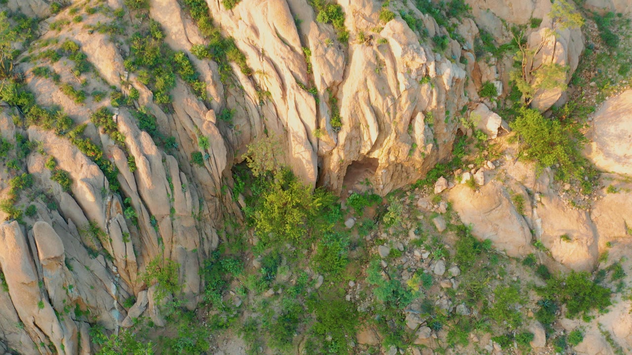 Sunlit overhead view of a tan rock outcrop with shrubs tucked into crevices in Cabo Pulmo, Baja California Sur, with no visible people.