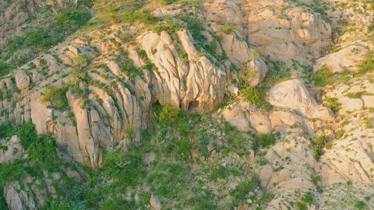 Overhead Cabo Pulmo hillside frame with sunlit tan rocks, darker green vegetation along the lower edge, and no visible people.