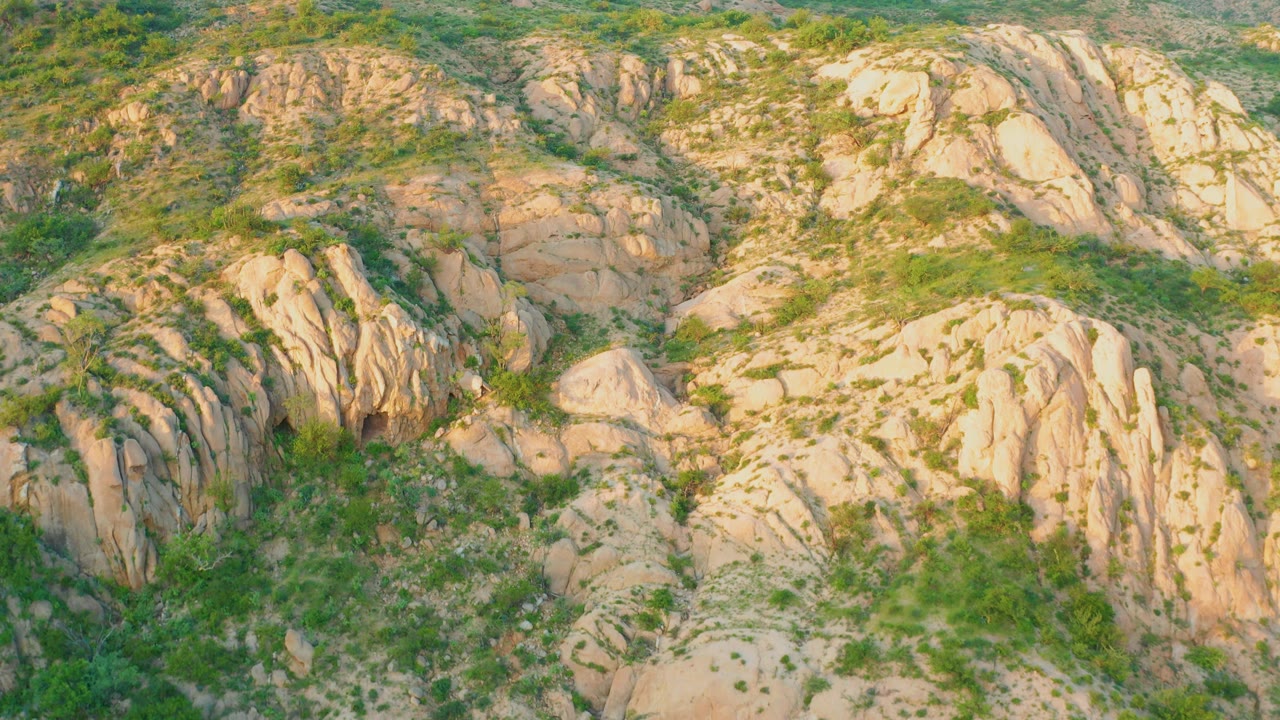 Aerial view of a rocky slope in Cabo Pulmo where tan stone bands and green shrubs fill the frame, with no visible people.