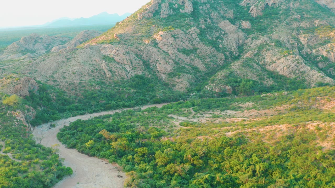 Cabo Pulmo aerial view with a pale river corridor cutting past dense greenery and a broad rocky mountain wall filling the background, with no visible people.