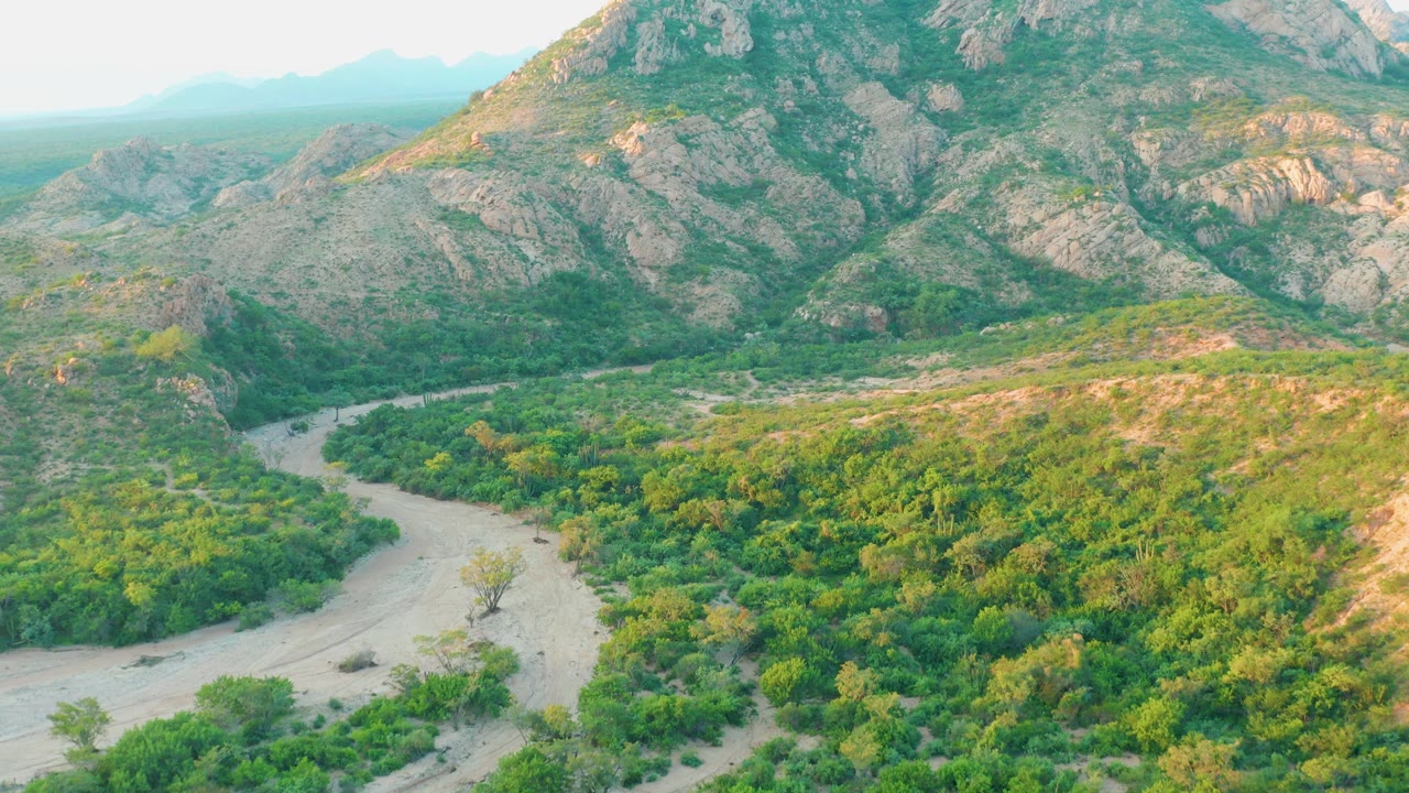 Aerial frame from Cabo Pulmo with the pale river channel curving through shrubs and trees as rocky slopes fill the background, with no visible people.