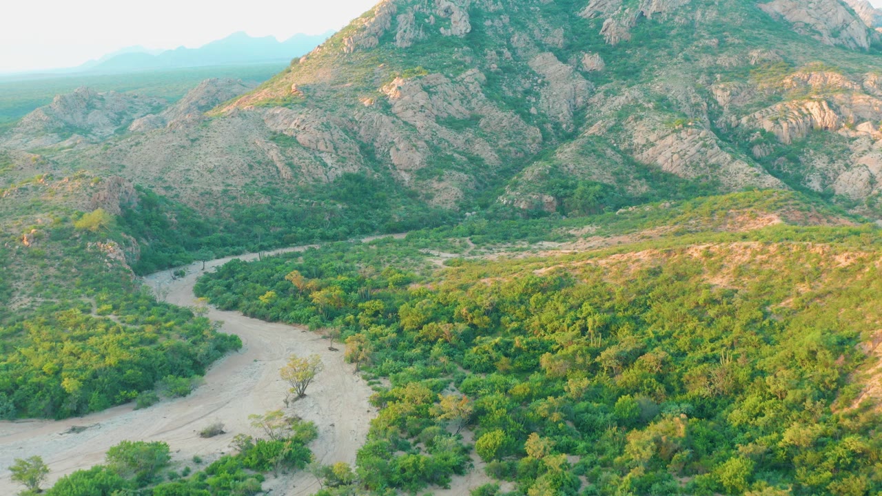 Cabo Pulmo aerial landscape showing a pale riverbed on the left edge, dense green valley growth across the middle, and a rugged mountain wall behind it, with no visible people.