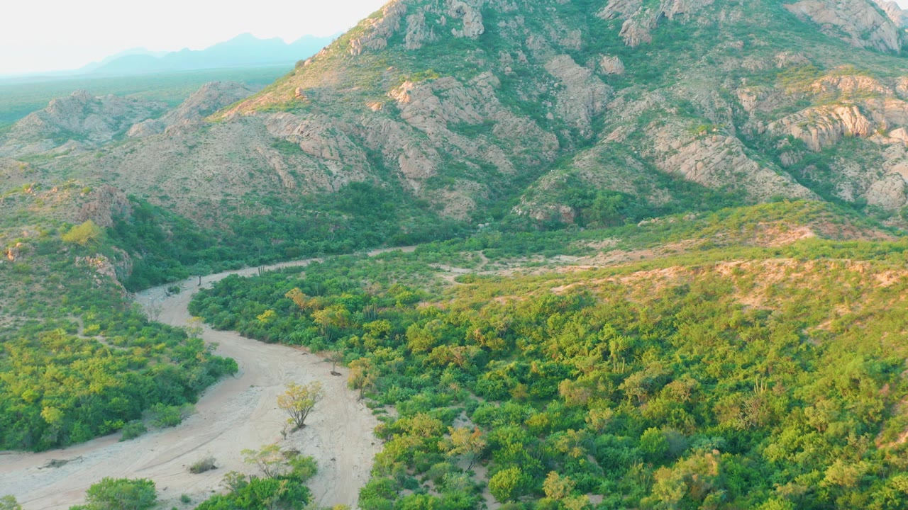 Aerial view over Cabo Pulmo terrain with a riverbed bend at lower left, bright green vegetation through the valley, and rocky hills rising behind, with no visible people.