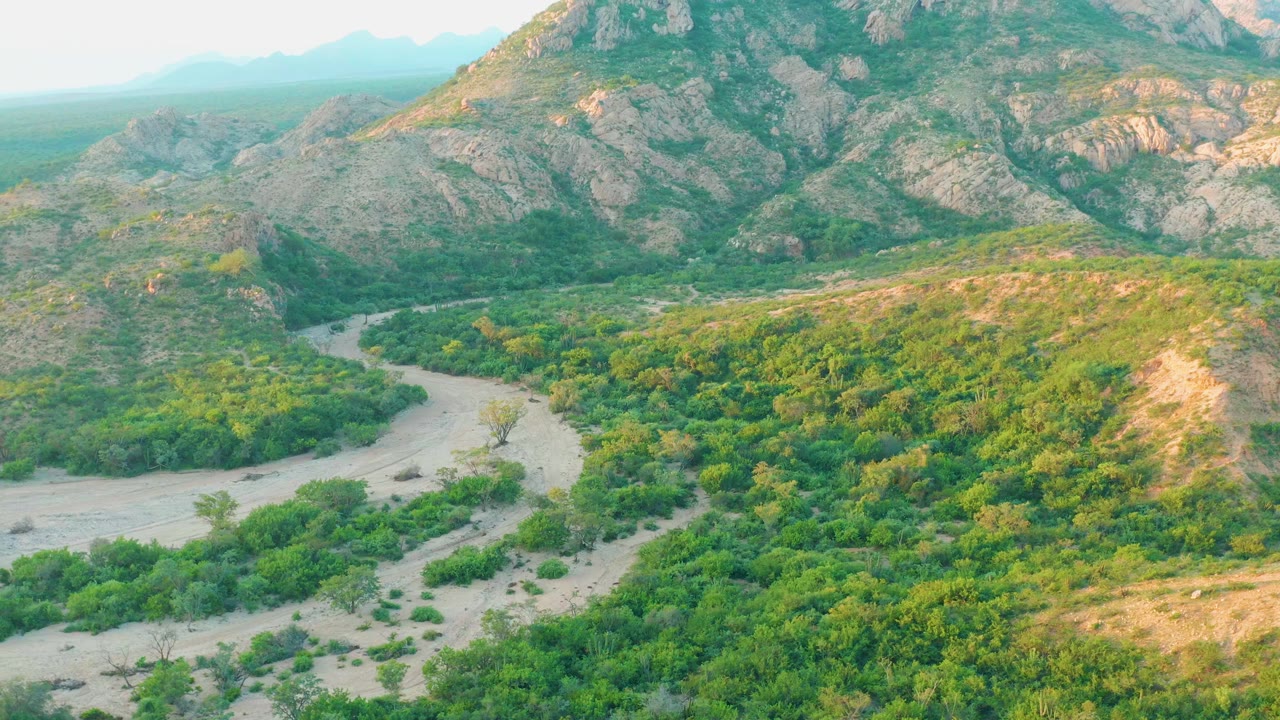 The road curve sits slightly farther into the valley, surrounded by green brush and backed by rocky Cabo Pulmo mountain faces with no visible people.