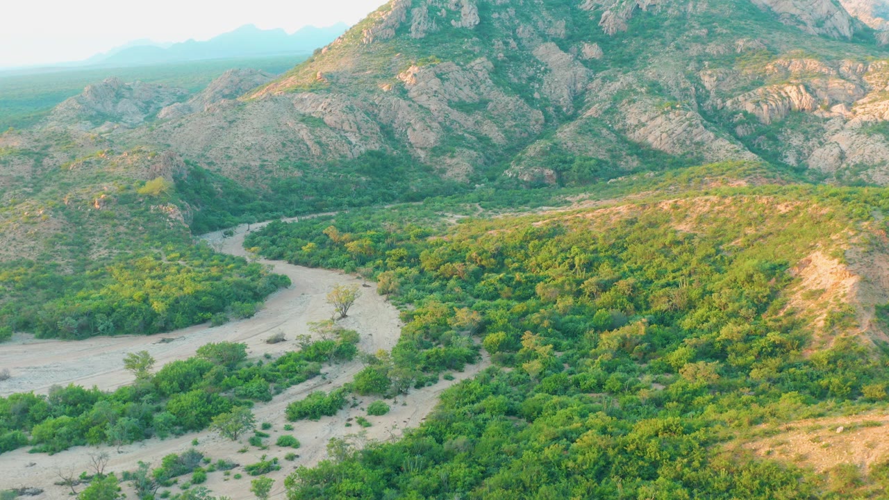 Mid-clip aerial view of the pale road curving around thick shrubs near the base of rugged Cabo Pulmo mountain terrain, with no visible people.