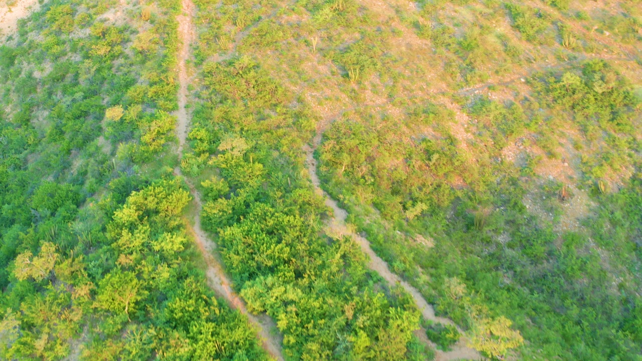 Cabo Pulmo overhead terrain with more open brown grassland, green brush along one side, and visible dirt path edges, no visible people.