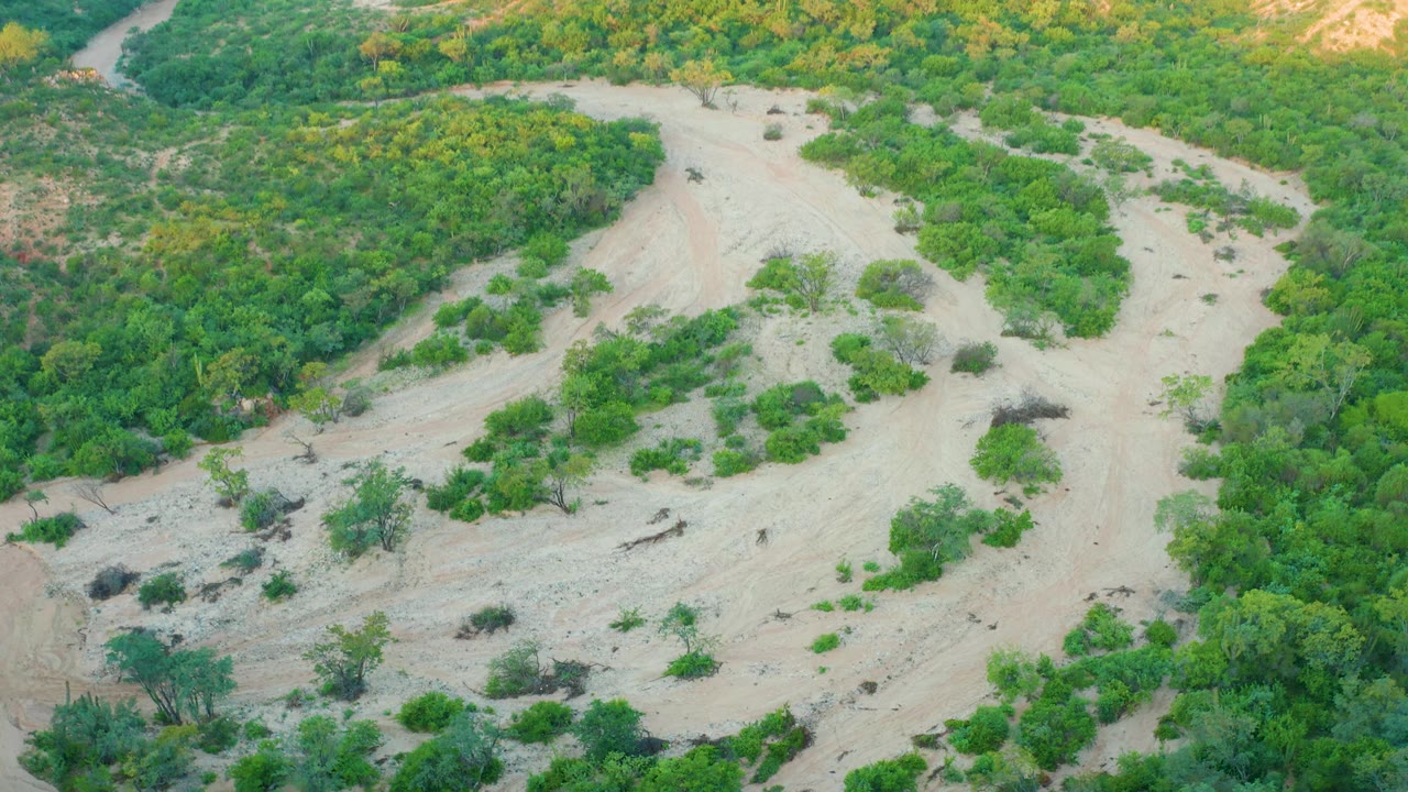 A high aerial frame from Cabo Pulmo, Baja California Sur, shows the dry wash crossing the center with green foliage packed along both sides and no visible people.