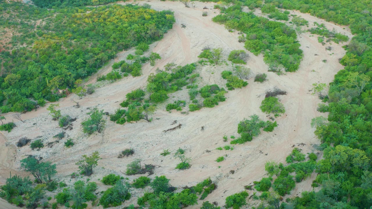 In Cabo Pulmo, Baja California Sur, the aerial composition shows a broad sandy riverbed bordered by scrub, trees, and darker brush areas with no visible people.