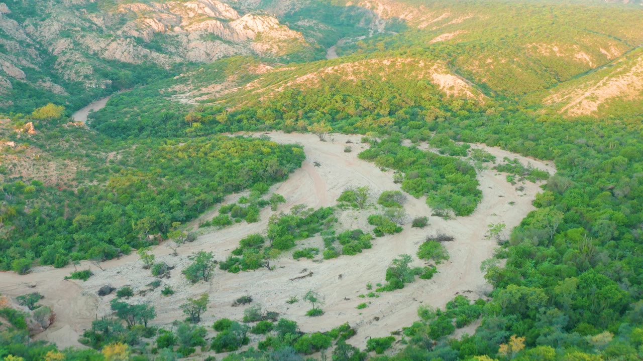 A slightly later aerial frame in Cabo Pulmo shows the dry wash bending through thick green brush, with pale sandbars and no visible people.